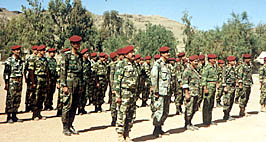 images/front.jpg