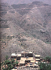 images/bus3.jpg