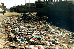 images/enviro.jpg