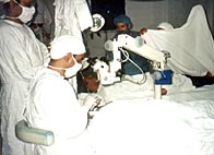 images/heal3.jpg