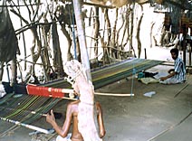 images/cult1.jpg
