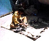 images/silv3.jpg