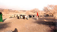 images/last1.jpg