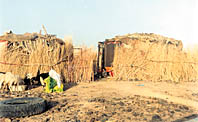 images/last2.jpg
