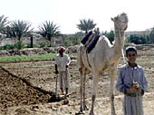 images/agri1.jpg