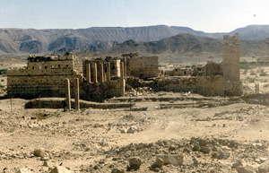images/serwah.jpg