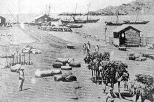 images/report_aden1.jpg