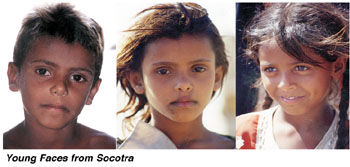images/misc_socotra1.jpg