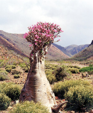 images/last_tourism.jpg