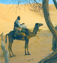 images/last_bado2.jpg