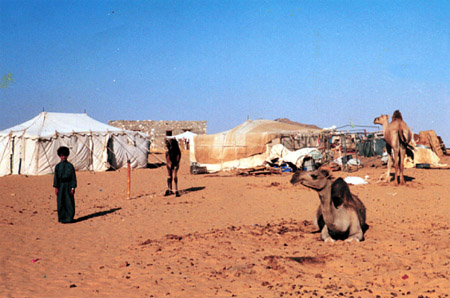 images/lastpage_sahara.jpg