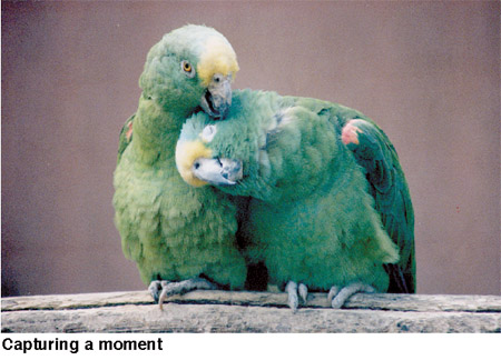 images/lastpage_1.jpg