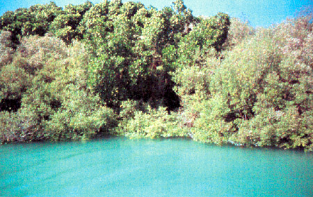 images/lastpage_traq1.jpg
