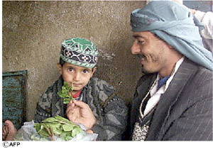 images/report_qat1.jpg