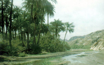 images/culture_lahj.jpg