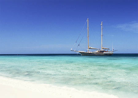 images/report_katherine1.jpg