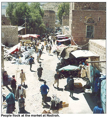 images/report_nadirah2.jpg