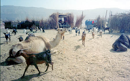 images/culture_rural.jpg