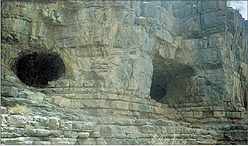 images/lastpage.jpg