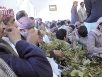Yemenis prefer to chew qat many hours afternoon than getting out  their home for entertainment.