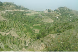 Saber Mount in Taiz one of Yemens most beautiful highlands in Yemen.