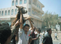 Protesters carried a donkey aloft in reaction to the GPC, whose symbol is a horse.