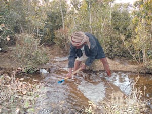 Protesters carried a donkey aloft in reaction to the GPC, whose symbol is a horse.