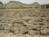 Bad management of the water resources expands the scope of desertification and the scarcity of water in a country where about 92 percent of the land is arid, semi-arid or desert.