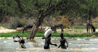 7 # n           . @ @ @ @ <br> J <br> T T X x @   * A   A – Locals walk through water as they carry goods across a flooded riverbed known as a wadi near Biltine in eastern Chad August 8.	REUTERS<br> u g {yy p0ǆ {^́ Jc  D $ DL Ǉ   ` y 	ۀ Of <br> @ ! <br> <br> U F 	 	 	 T #!#*+Z+[+_./-/47:< < < <<<<<<<<= = = = =<br>=U=V=W=X=Y=Z=[=^=_=`=a=b=d=f=g=h=i=j=k=l=m=n=o=p=q=x=z={=|=}==========================?L L LTx x x  H H ( F G ( H H ( d ‘ ` =/ R @ H -:LaserWriter 8 <br> New York E [ f – front1-1.txt bassam ahmad bassam ahmad ‘/><figcaption>7 # n           . @ @ @ @ <br> J <br> T T X x @   * A   A – Locals walk through water as they carry goods across a flooded riverbed known as a wadi near Biltine in eastern Chad August 8.	REUTERS<br> u g {yy p0ǆ {^́ Jc  D $ DL Ǉ   ` y 	ۀ Of <br> @ ! <br> <br> U F 	 	 	 T #!#*+Z+[+_./-/47:< < < <<<<<<<<= = = = =<br>=U=V=W=X=Y=Z=[=^=_=`=a=b=d=f=g=h=i=j=k=l=m=n=o=p=q=x=z={=|=}==========================?L L LTx x x  H H ( F G ( H H ( d ‘ ` =/ R @ H -:LaserWriter 8 <br> New York E [ f – front1-1.txt bassam ahmad bassam ahmad </figcaption></figure></div></td></tr></table><b><i>By Peter Willems<br>Yemen Times Staff</i></b><br>After an emergency meeting of Arab Foreign Ministers last Sunday, the Arab League said it opposes sanctions against Sudan that might be implemented by the United Nations if the Sudanese government does not disarm militias in the western Darfur region. <br>The Arab League said sanctions “would only result in negative efforts for the whole Sudanese people and complicate the crisis in Darfur.” <br>The Foreign Ministers also rejected Western interference by sending troops to help bring peace to the crisis area. Australia and Great Britain have said that they are willing to send forces to Darfur if needed. <br>On July 30, the UN Security Council passed a resolution that gave the Sudanese government 30 days to disarm the Janjaweed, a militant group accused of killing thousands of people in the Darfur area, or economic and diplomatic measures would be taken against the country. The Arab League requested the United Nations to give Sudan more time to end the Darfur humanitarian crisis. <br>Yemeni Foreign Minister Abu Bakr Al-Qirbi said that the meeting in Cairo showed that Arab and African states are committed to supporting Sudan to deal with the Darfur issue. He also emphasized the importance of preventing foreign interference. <br>Last week Al-Qirbi urged the international community to support the Sudanese government to “quickly restore security and stability in Darfur.”<br>The violence erupted 18 months ago when minority tribes rose up against the government demanding an equal share of national development and protection for the local population. Arab militias, allegedly backed by the government, are accused of killing over 30,000 and driving at least one million people from their villages. <br>Refugees have reported that the Janjaweed fighters have slaughtered men, raped women and have looted their villages during assaults. <br>This week the Sudanese government agreed to work with the United Nations to end the violence. Sudanese Foreign Minister Mustafa Ismail and UN envoy Jan Pronk put together an action plan, which includes the government securing specific villages, routes and convoys and setting up safe areas for displaced people. The bi-lateral agreement follows the UN schedule that action must be taken in 30 days. <br>“We plan to implement [the UN resolution]. We think we can do it,” said Ismail. “We are not the party that created the problems there. We didn't start the war. But despite this, we feel that we are capable of solving this problem. The main element to solve the problem is the Sudanese themselves.” <br>The Sudanese government also agreed to participate in peace talks in Nigeria later this month. Olusegun Obasanjo, Nigerian President and Chairman of the African Union, offered to host the talks between the government and representatives of the rebels. <br>Previous talks between the Sudanese government and rebels failed last month. <br>The African Union has offered to send up to 2,000 troops as peacekeepers and to protect ceasefire monitors in Darfur. The Sudanese government has said that it would accept African troops to protect monitors but would take on the responsibility of establishing peace with its own troops. <br>The Arab League asked its African members – Algeria, Egypt, Eritrea, Libya, Mauritania and Tunisia – to participate in monitoring the ceasefire.<br>Earlier this month, the Yemeni government said that it will not send troops to Iraq to assist stabilizing the country while the US-led coalition forces remain in Iraq. The government's position on sending troops to the war-torn country came soon after Saudi Arabia announced its proposal encouraging Muslim forces to help bring peace to Iraq where violence continues.<br />——<br />[archive-e:763-v:13-y:2004-d:2004-08-12-p:front]							</div>
													<div class="similar-articles-block">
		<div class="articles-title-block">
			<h5 class="articles-block-title">SIMILAR ARTICLES</h5>
		</div>
		<div class="similar-articles-block-colls coll-2">
							<div>
					<article>
	<a class="article-card" href="https://yementimes.com/heavy-rains-and-earthquakes-displace-people-in-ibb-archives2010-1407-front/">
					<div class="article-card-img">
									<img width="400" height="261" src="https://eqeuyefvifz.exactdn.com/wp-content/uploads/2010/10/local1407main_1.jpg?strip=all&lossy=0&ssl=1" class="attachment-post-thumbnail size-post-thumbnail wp-post-image" alt="" decoding="async" loading="lazy" srcset="https://eqeuyefvifz.exactdn.com/wp-content/uploads/2010/10/local1407main_1.jpg?strip=all&lossy=0&ssl=1 400w, https://eqeuyefvifz.exactdn.com/wp-content/uploads/2010/10/local1407main_1-300x196.jpg?strip=all&lossy=0&ssl=1 300w" sizes="(max-width: 400px) 100vw, 400px" />															</div>
				<div class="article-card-caption">
			<h4 class="article-card-title">Heavy rains and earthquakes displace people in Ibb [Archives:2010/1407/Front]</h4>
			<p>By Ali Saeed IBB, Oct. 11 – Mohammad Nu’man, 27, in Al-Makhadr district, Ibb, and…</p>
			<div class="article-card-caption-bottom">
				<div class="article-card-author">archive</div>
				<div class="article-card-date">October 14 2010</div>
			</div>
		</div>
	</a>
</article>				</div>
							<div>
					<article>
	<a class="article-card" href="https://yementimes.com/education-key-to-maternal-and-newborn-health-archives2009-1228-front-page/">
					<div class="article-card-img">
									<img width="137" height="200" src="https://eqeuyefvifz.exactdn.com/wp-content/uploads/2009/01/front1_1-1.jpg?strip=all&lossy=0&ssl=1" class="attachment-post-thumbnail size-post-thumbnail wp-post-image" alt="" decoding="async" loading="lazy" />															</div>
				<div class="article-card-caption">
			<h4 class="article-card-title">Education key to maternal and newborn health [Archives:2009/1228/Front Page]</h4>
			<p>Salma IsmailSANA'A Jan. 25 ) Childbirth and pregnancy are generally considered times of great joy,…</p>
			<div class="article-card-caption-bottom">
				<div class="article-card-author">archive</div>
				<div class="article-card-date">January 26 2009</div>
			</div>
		</div>
	</a>
</article>				</div>
					</div>
	</div>
					</div>
					<div class="sidebar-right">
	<div class="widget widget-subscribe-form">
	<div class="articles-title-block">
		<h5 class="articles-block-title">SUBSCRIBE NOW</h5>
	</div>
	<form class="subscribe-form" method="post" action="/?na=s">
		<div class="form-group">
			<input type="hidden" name="nlang" value="">
			<input class="form-control" type="email" name="ne" placeholder="Enter your email" value="" required>
			<button type="submit" class="btn"><span>SUBSCRIBE</span></button>
		</div>
	</form>
</div>				<div class="widget">
			<div class="articles-title-block">
				<h5 class="articles-block-title">MOST POPULAR</h5>
				<div>
					<a href="https://yementimes.com/?s" class="btn btn-simple">
						<span>VIEW MORE</span>
						<div class="arrow"></div>
					</a>
				</div>
			</div>
			<div class="articles-vertical-block">
									<article>
	<a class="article-card horizontal" href="https://yementimes.com/welcome-to-the-yemen-times-archives/">
					<div class="article-card-img">
				<img src=